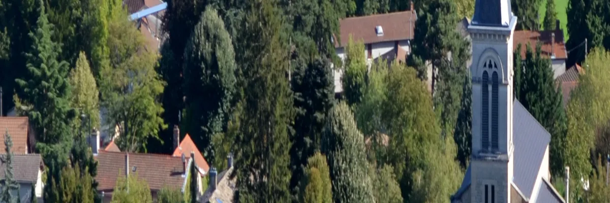 Image Monte escalier Beynost