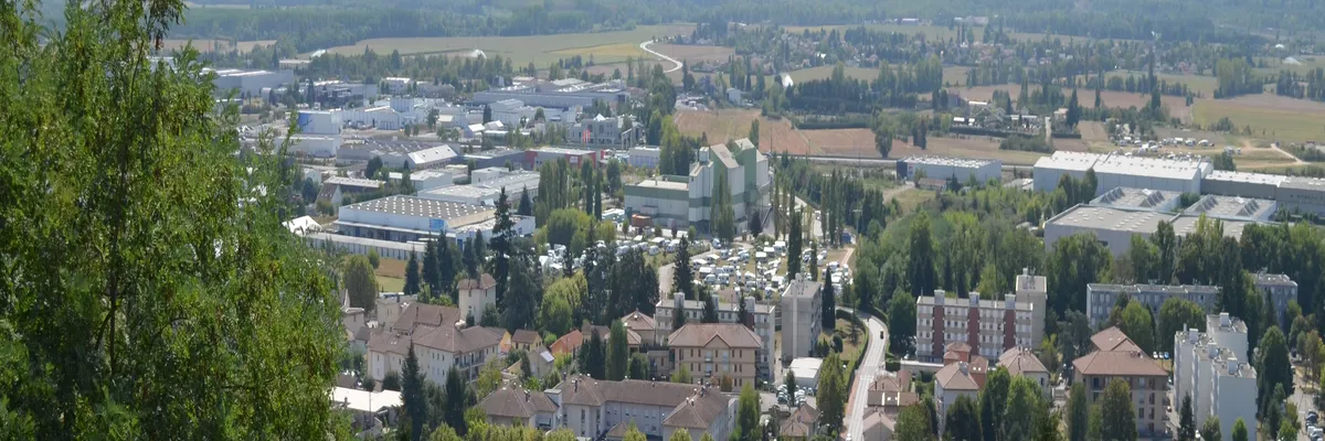 Image Monte escalier Montluel