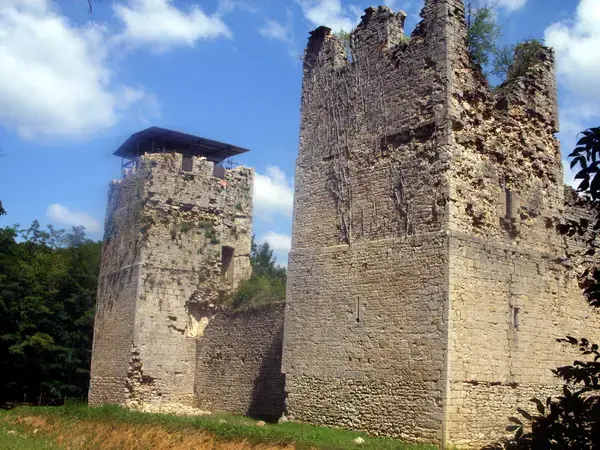 Monte Escalier 01 Monte escalier Neuville-sur-Ain