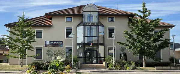 Monte Escalier 01 Monte escalier Saint-Denis-lès-Bourg